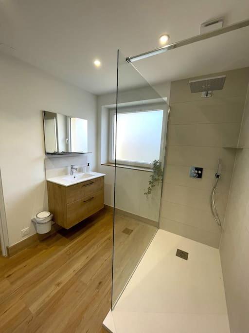 Appartement Moderne Et Spacieux, A 10 Min De La Gare Colmar Buitenkant foto