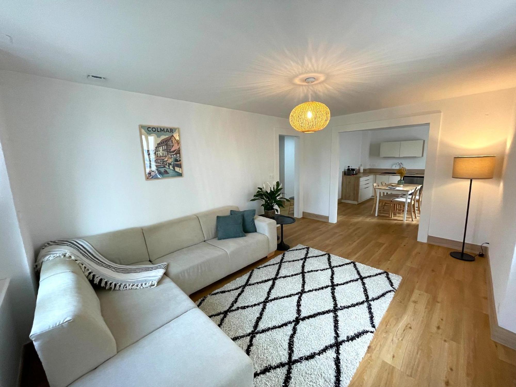 Appartement Moderne Et Spacieux, A 10 Min De La Gare Colmar Buitenkant foto