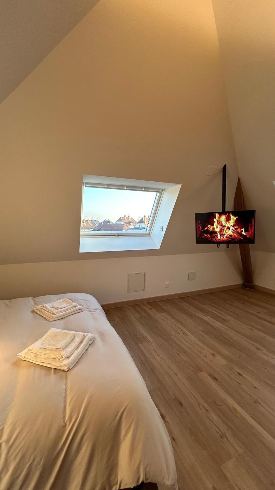 Appartement Moderne Et Spacieux, A 10 Min De La Gare Colmar Buitenkant foto