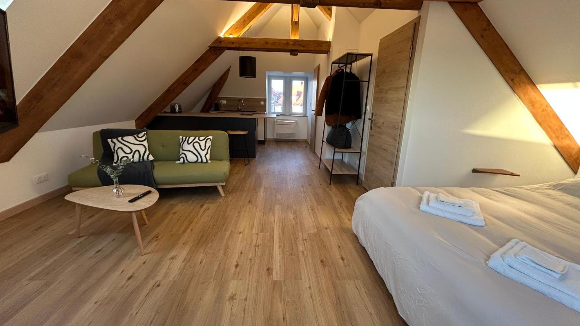 Appartement Moderne Et Spacieux, A 10 Min De La Gare Colmar Buitenkant foto